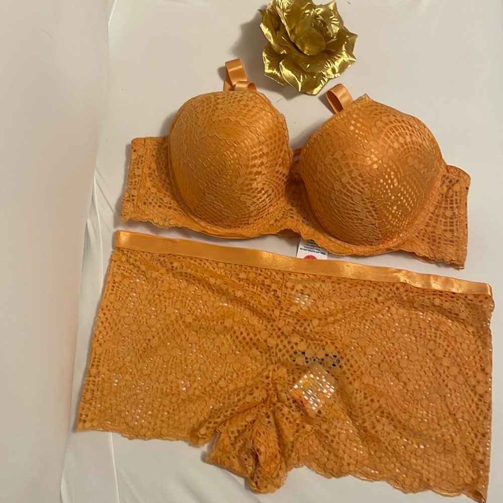 Plus Size Bra Set - Size 40D/3X, 44C/3X